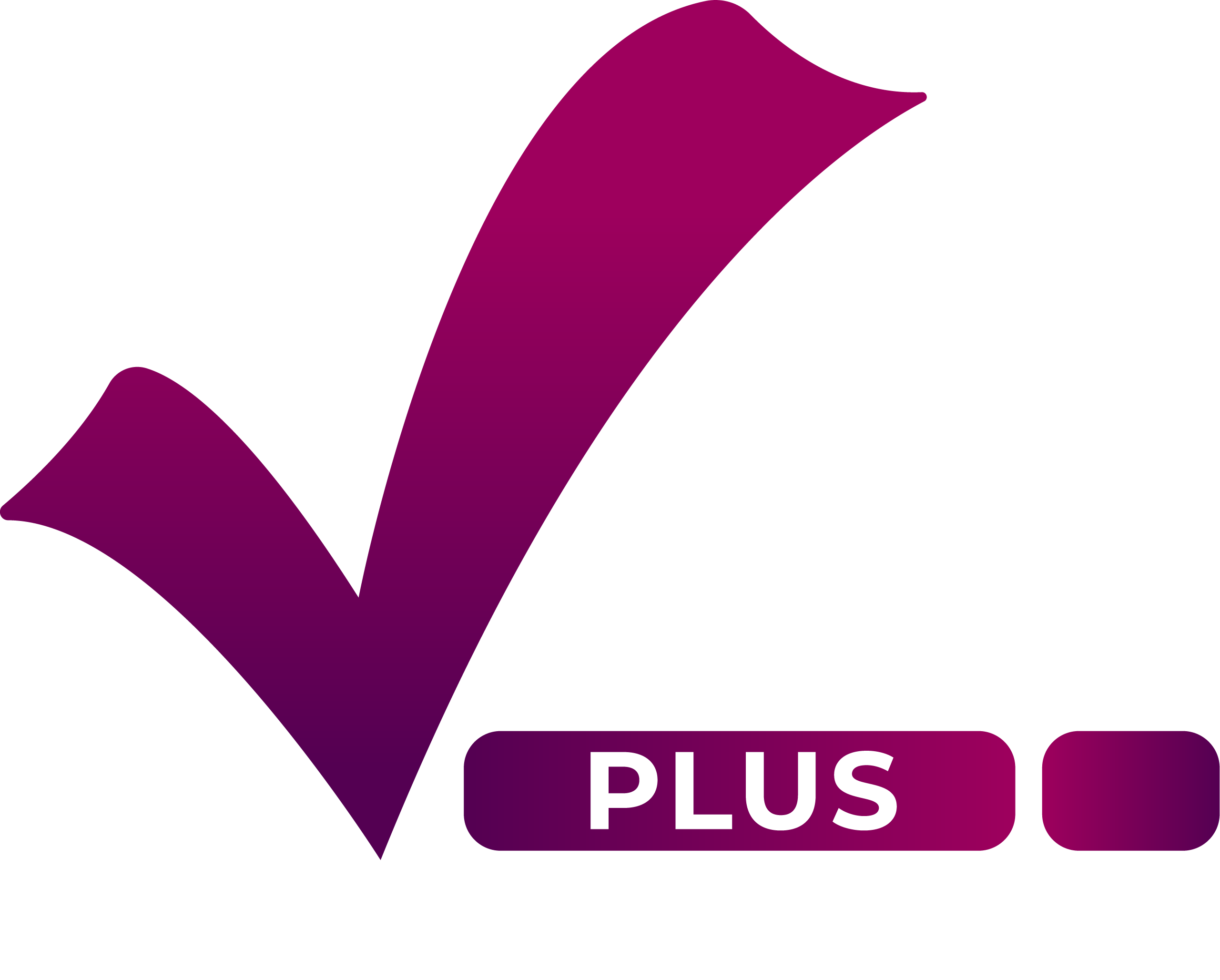 Value Plus Impact International